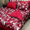 Vicky King Size Razai Set with Printed Bedsheet