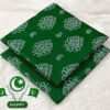 Pakistan Independence Day 14 August 1947 Premium Lawn Suit for Women 