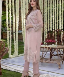 Premium Embroidered Organza Outfit for Weddings and Festive Events | Jalwa Store 