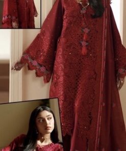 Premium Luxury Organza Suit with Stylish Embroidered Front | Jalwa Store 