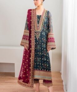 Designer Chiffon Embroidered Outfit for Wedding Celebrations | Jalwa Store 