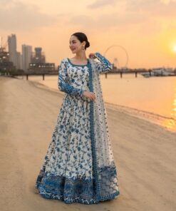 Premium Chiffon Outfit with Beautiful Embroidered Patterns | Jalwa Store 