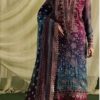Designer Organza Party Wear Suit with Premium Lace Details | Jalwa Store 