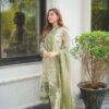 Pakistani Embroidered Chiffon Suit with Elegant Party Look | Jalwa Store 