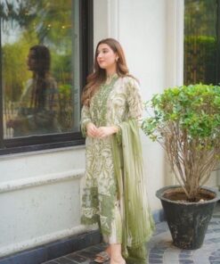 Pakistani Embroidered Chiffon Suit with Elegant Party Look | Jalwa Store 