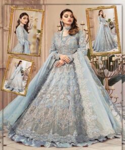 Elegant Pakistani Chiffon Party Wear Dress with Fine Embroidery | Jalwa Store 