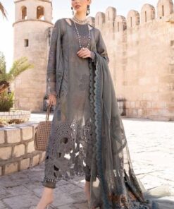 Luxury Embroidered Chiffon Suit for Women's Festive Collection | Jalwa Store 
