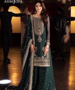 Luxury Fancy Ladies Suit with Elegant Organza Embroidery | Jalwa Store 