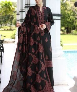 Luxury Women's Party Wear Suit with Beautiful Embroidery and Lace Work | Jalwa Store