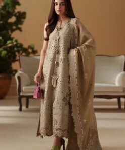 Designer Inspired Fancy Ladies Embroidered 3 Piece Suit | Jalwa Store 