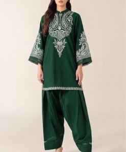 Premium Embroidered 2 Piece Lawn Suit 