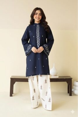 Pure Lawn 2 Piece Embroidered Collection – Heavy Embroidered Ladies Suit
